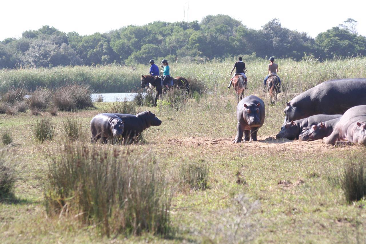Lodge Afrique Saint Lucia Estuary Εξωτερικό φωτογραφία
