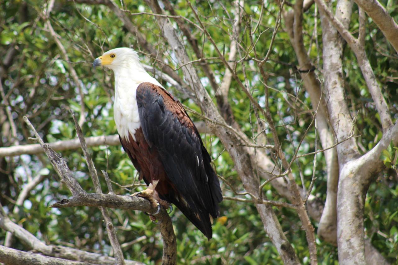 Lodge Afrique Saint Lucia Estuary Εξωτερικό φωτογραφία